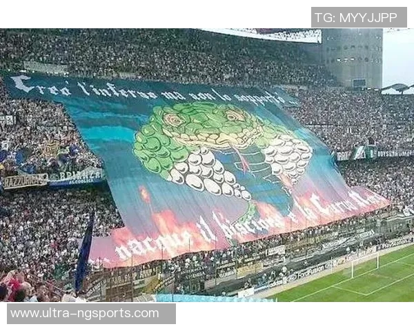 足球迷的狂欢盛宴探秘fan足球文化与激情的交融之旅